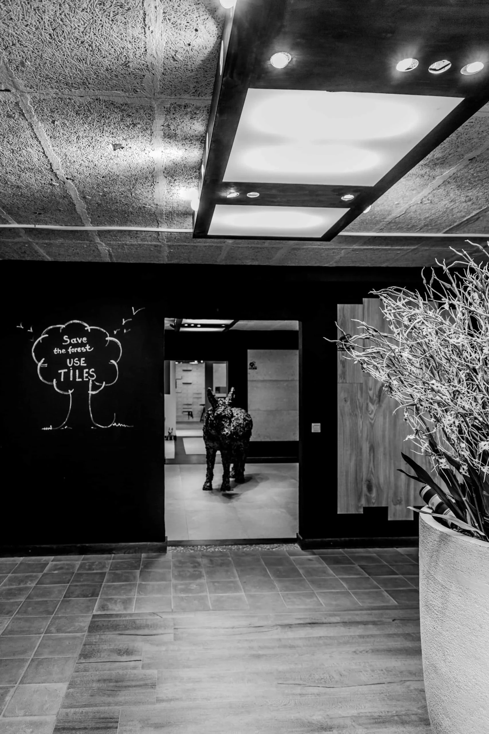 ShowroomDC 191 X 1920x2880